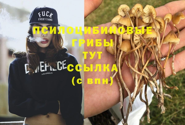 гидропоника Красноперекопск