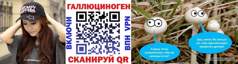 omg ONION  Котельнич  Псилоцибиновые грибы GOLDEN TEACHER 